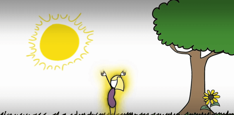What Is Grounding?